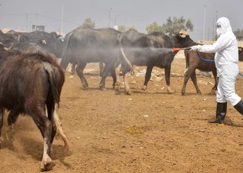 ژمارەیەك توشبووی نوێی تای خوێنبەربوون و گیان لەدەستدانێكی تر تۆمار كران