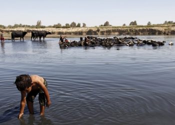 توشبووانی كۆلێرا لە عیراق گەیشتنە 47 توشبوو
