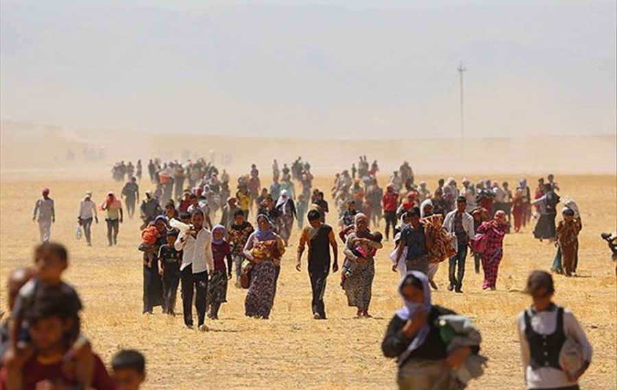 راپۆرتێك: زۆرینەی ئاوارە ئێزدییەكان تووشی ناڕەحەتی دەروونی و عەقڵی بوون