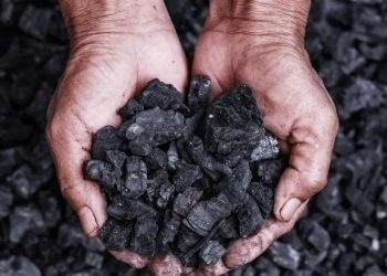 بەكارهێنانی خەڵوز بەرزترین ئاستی پێوانەیی لەجیهاندا تۆمار دەكات